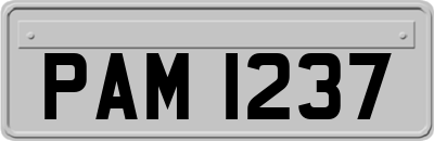 PAM1237