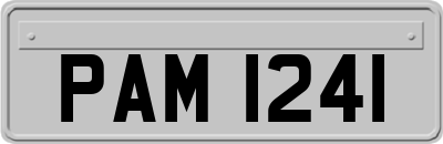 PAM1241