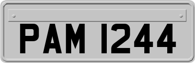 PAM1244