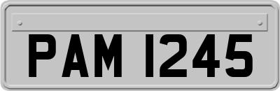 PAM1245