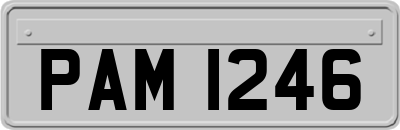 PAM1246