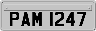 PAM1247