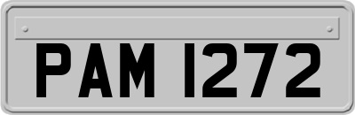 PAM1272