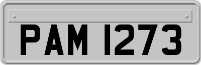 PAM1273