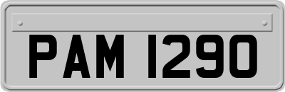 PAM1290