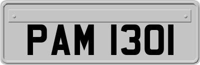 PAM1301