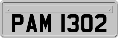 PAM1302