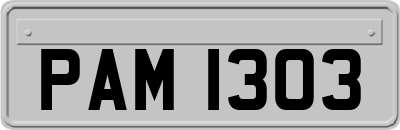 PAM1303