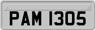 PAM1305