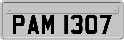 PAM1307
