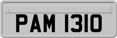 PAM1310