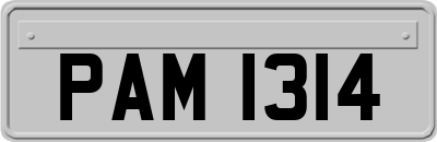 PAM1314