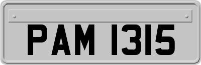 PAM1315