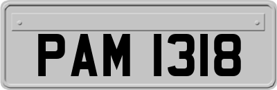 PAM1318