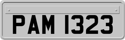 PAM1323