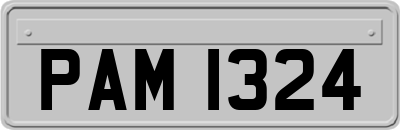PAM1324