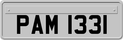 PAM1331
