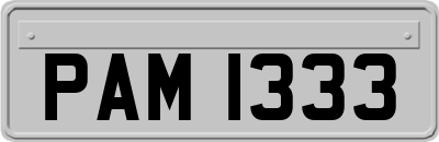 PAM1333