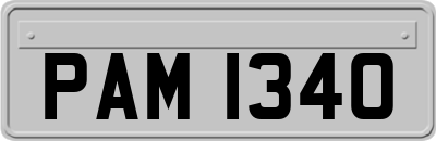 PAM1340