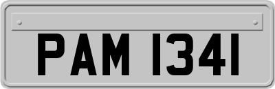 PAM1341