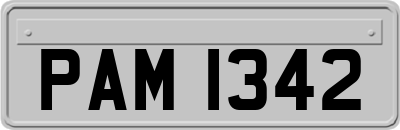 PAM1342