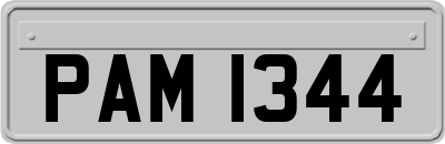 PAM1344