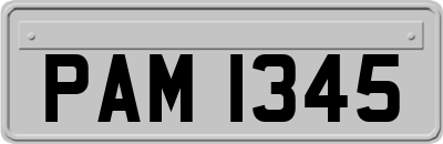 PAM1345