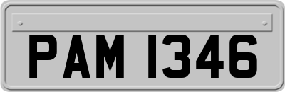 PAM1346
