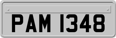 PAM1348