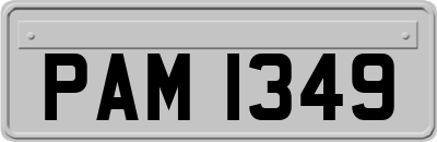 PAM1349