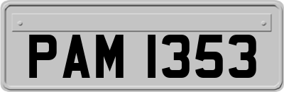 PAM1353