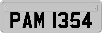 PAM1354