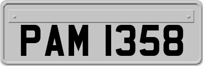 PAM1358