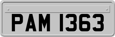 PAM1363