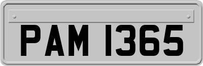 PAM1365