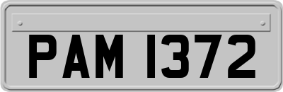 PAM1372