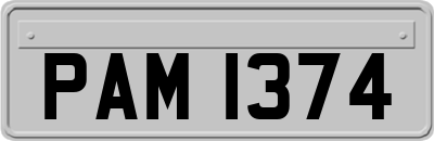 PAM1374