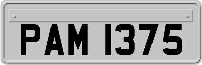 PAM1375