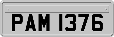 PAM1376