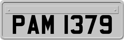 PAM1379