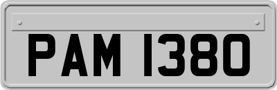 PAM1380