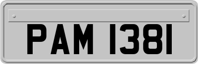 PAM1381