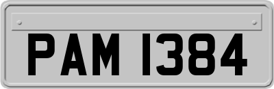 PAM1384