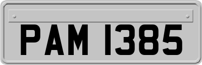 PAM1385