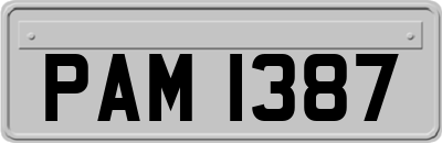 PAM1387