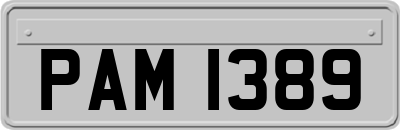 PAM1389