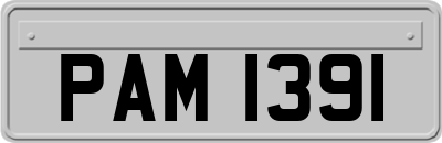 PAM1391