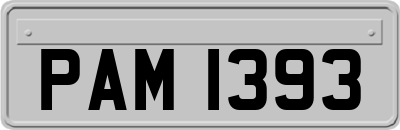 PAM1393