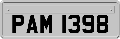 PAM1398