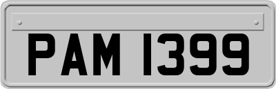 PAM1399